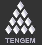 Tengem (Hong Kong) Co., Limited Logo